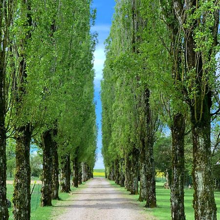 L'Allee Des Peupliers Chevigny  Exteriör bild